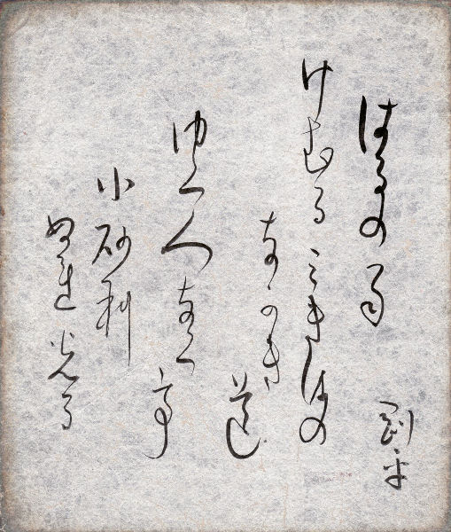 �R�荄���@��