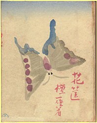 ��➁E�{��