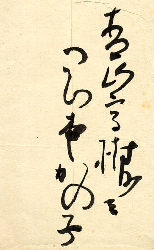 ���{���̎q