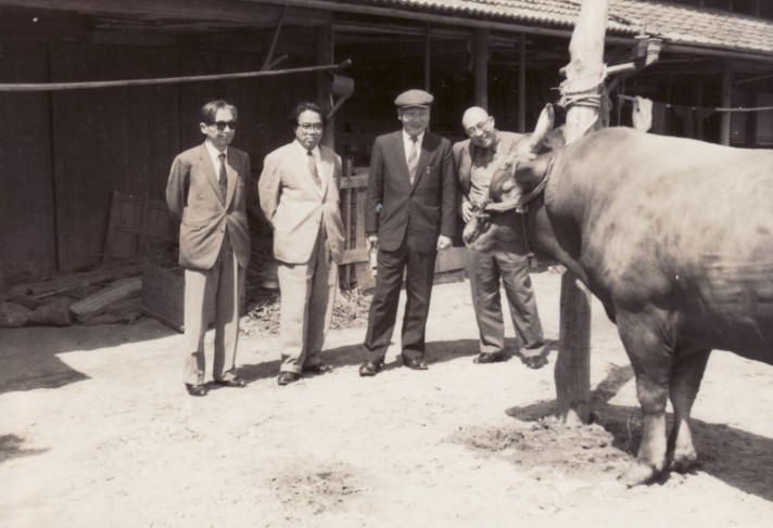 ���{����,��