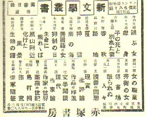 �V���{�p��