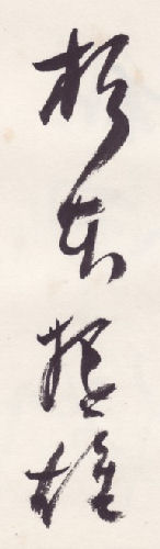 ���{���Y