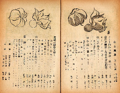 ���\���j�@�ڎ�